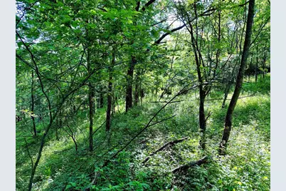 26 Acres +/- Tanglewood Drive, Mcgregor, IA 52157 - Photo 7