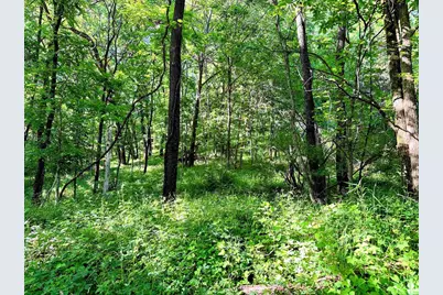 26 Acres +/- Tanglewood Drive, Mcgregor, IA 52157 - Photo 9