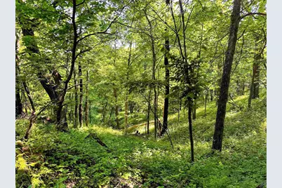 26 Acres +/- Tanglewood Drive, Mcgregor, IA 52157 - Photo 3