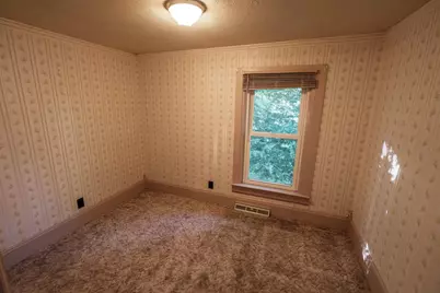 309 N Mechanic Street, Albany, WI 53502 - Photo 31