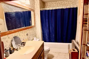 763 Bridge St, Wonewoc, WI 53968 - Photo 15