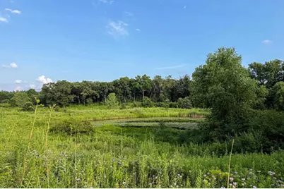 202 Ozark Trail, Madison, WI 53705 - Photo 79