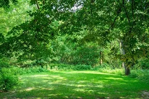 202 Ozark Trail, Madison, WI 53705 - Photo 73