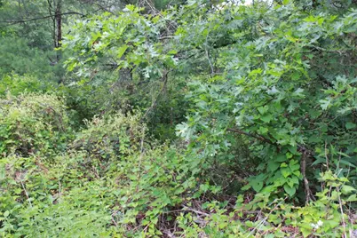 931 E Trout Valley Road, Friendship, WI 53934 - Photo 25