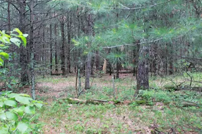931 E Trout Valley Road, Friendship, WI 53934 - Photo 35