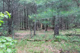 931 E Trout Valley Rd, Friendship, WI 53934 - Photo 35
