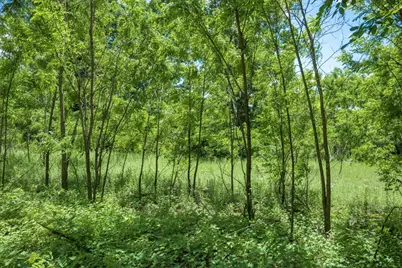 519 Oak Grove Drive, Necedah, WI 54646 - Photo 49