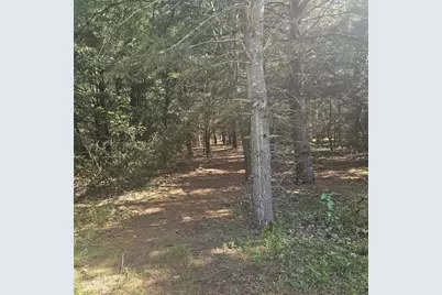 Lot 1 Woodland Avenue, Montello, WI 53949 - Photo 5