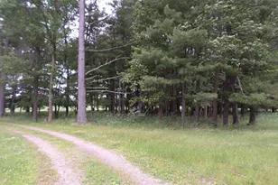 W10426 24th St, Camp Douglas, WI 54618 - Photo 27