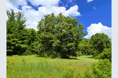 13106 Hwy 131, Clayton, WI 54655 - Photo 19