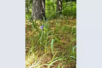 13106 Hwy 131, Clayton, WI 54655 - Photo 21