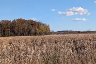 N3126 Oak Rd, Markesan, WI 53946 - Photo 35