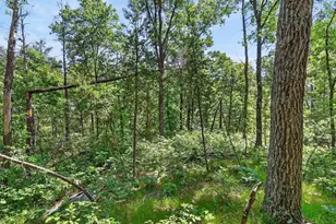 732 W 15th Dr, Nekoosa, WI 54457 - Photo 55