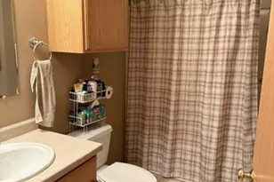 3009 Allie's Ln, Cross Plains, WI 53528 - Photo 31