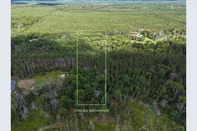 5.6 Acres 16th Avenue, Arkdale, WI 54613 - Photo 7
