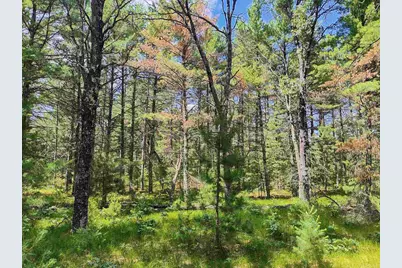 5.6 Acres 16th Avenue, Arkdale, WI 54613 - Photo 15