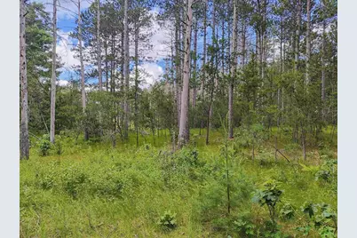 5.6 Acres 16th Avenue, Arkdale, WI 54613 - Photo 19