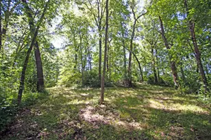 7040 Loy Rd, Arena, WI 53503 - Photo 73