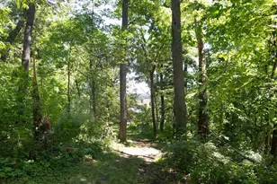 7040 Loy Rd, Arena, WI 53503 - Photo 71