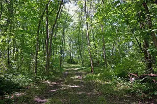 7040 Loy Rd, Arena, WI 53503 - Photo 73