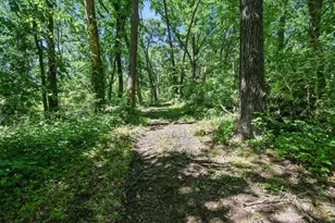 7040 Loy Rd, Arena, WI 53503 - Photo 69