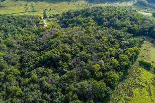 E5040 Co Rd WC, Spring Green, WI 53588 - Photo 67