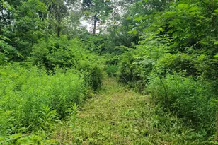 S6053 S Shore Rd, Baraboo, WI 53913 - Photo 17