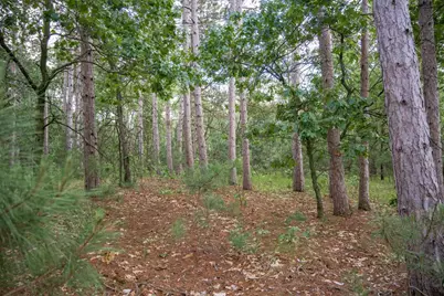 Lot 49 &amp; Ol 7 13th Drive, Friendship, WI 53934 - Photo 21