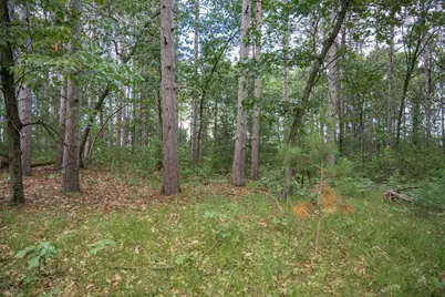 Lot 49 &amp; Ol 7 13th Drive, Friendship, WI 53934 - Photo 17