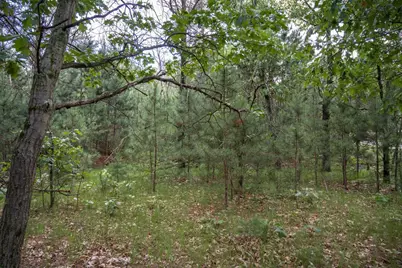 Lot 49 &amp; Ol 7 13th Drive, Friendship, WI 53934 - Photo 29