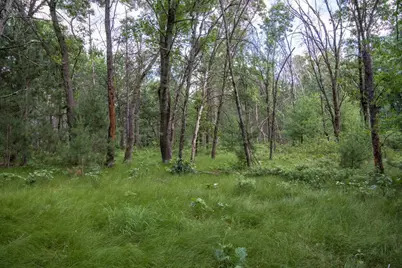 Lot 49 &amp; Ol 7 13th Drive, Friendship, WI 53934 - Photo 27