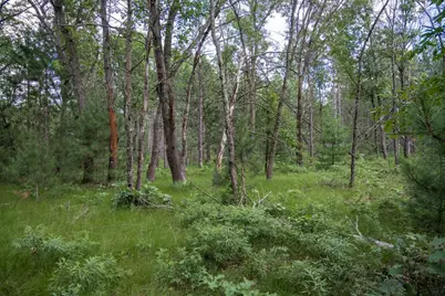 Lot 49 &amp; Ol 7 13th Drive, Friendship, WI 53934 - Photo 31
