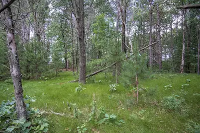Lot 49 &amp; Ol 7 13th Drive, Friendship, WI 53934 - Photo 19
