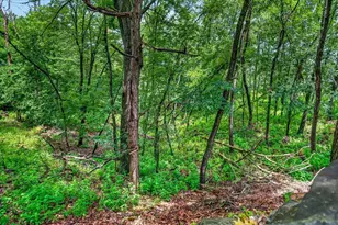 W11563 Island View Ct, Lodi, WI 53555 - Photo 51