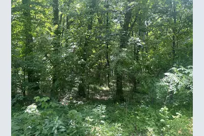 Lots 10 &amp; 11 Oak Hill Estate East Street, Mauston, WI 53948 - Photo 3
