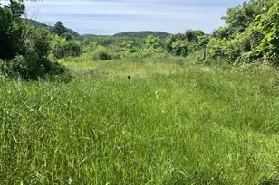20407 Hwy 131 Way, Gays Mills, WI 54631 - Photo 27