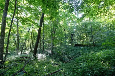 76 Acres Skyline Road, Blue River, WI 53518 - Photo 19
