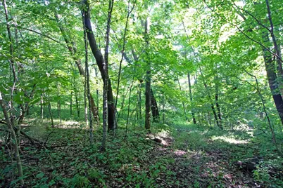 76 Acres Skyline Road, Blue River, WI 53518 - Photo 11