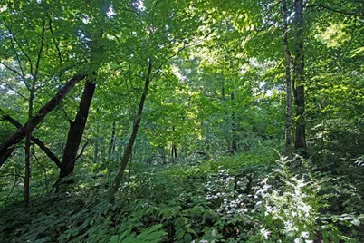 76 Acres Skyline Road, Blue River, WI 53518 - Photo 21