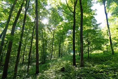 76 Acres Skyline Road, Blue River, WI 53518 - Photo 29