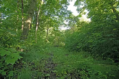 76 Acres Skyline Road, Blue River, WI 53518 - Photo 7