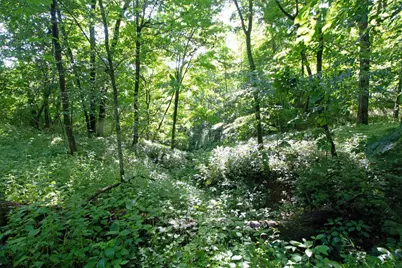 76 Acres Skyline Road, Blue River, WI 53518 - Photo 25