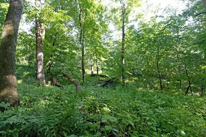 76 Acres Skyline Road, Blue River, WI 53518 - Photo 27