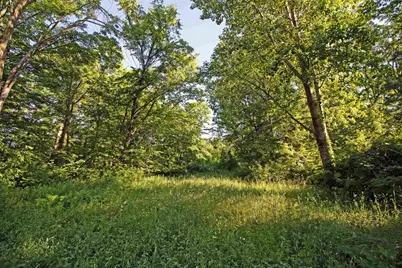 76 Acres Skyline Road, Blue River, WI 53518 - Photo 5