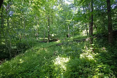 76 Acres Skyline Road, Blue River, WI 53518 - Photo 23