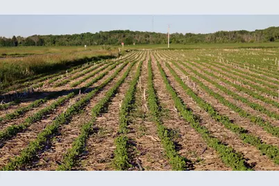000 Middle Road, Campbellsport, WI 53010 - Photo 23