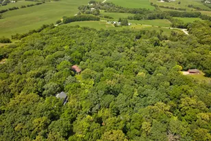 N4085 Schrade Rd, Monroe, WI 53566 - Photo 75