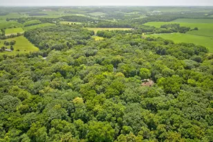 N4085 Schrade Rd, Monroe, WI 53566 - Photo 73