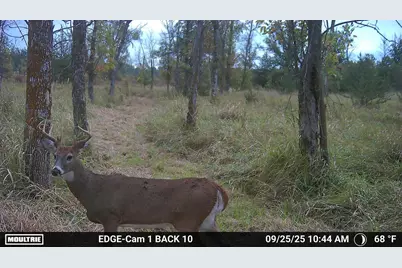 90 Acres County Road Cc, Green Lake, WI 54941 - Photo 15