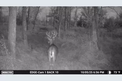 90 Acres County Road Cc, Green Lake, WI 54941 - Photo 17